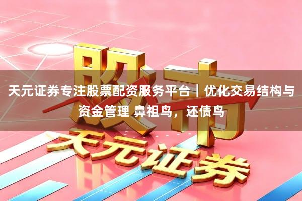 天元证券专注股票配资服务平台｜优化交易结构与资金管理 鼻祖鸟，还债鸟